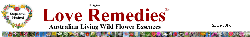 Australian flower essences Love Remedies 